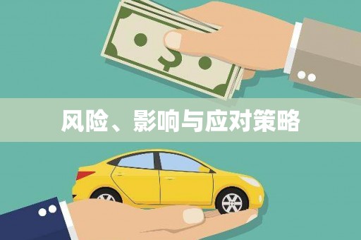 苏家屯风险、影响与应对策略