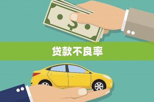 苏家屯贷款不良率
