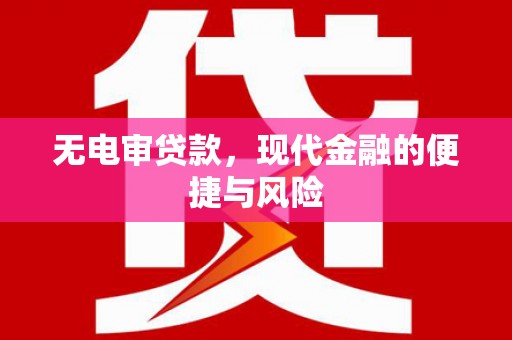 苏家屯无电审贷款，现代金融的便捷与风险