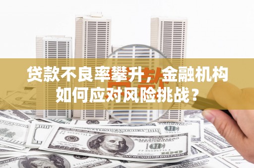 苏家屯贷款不良率攀升，金融机构如何应对风险挑战？
