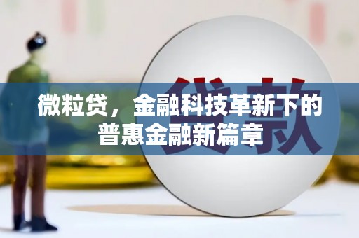 苏家屯微粒贷，金融科技革新下的普惠金融新篇章