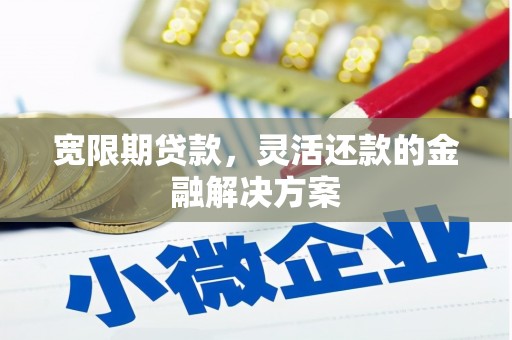 苏家屯宽限期贷款，灵活还款的金融解决方案