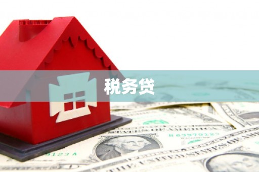 苏家屯税务贷