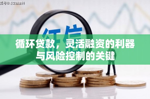 苏家屯循环贷款，灵活融资的利器与风险控制的关键