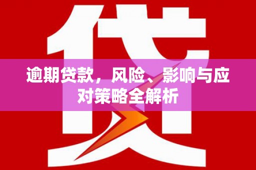 苏家屯逾期贷款，风险、影响与应对策略全解析
