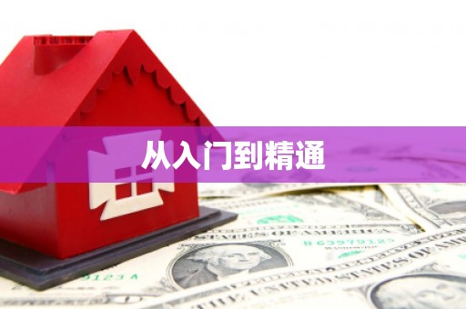 苏家屯从入门到精通
