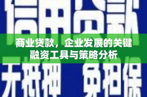 苏家屯商业贷款，企业发展的关键融资工具与策略分析