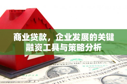苏家屯商业贷款，企业发展的关键融资工具与策略分析