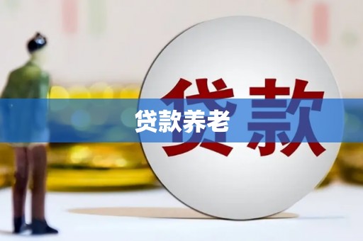 苏家屯贷款养老