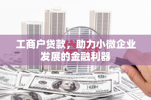 苏家屯工商户贷款，助力小微企业发展的金融利器