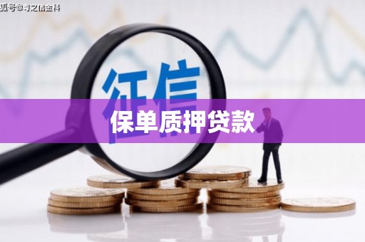 苏家屯保单质押贷款