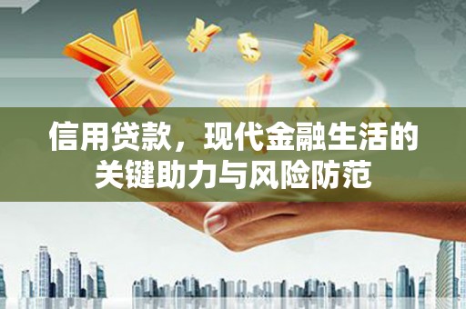 苏家屯信用贷款，现代金融生活的关键助力与风险防范