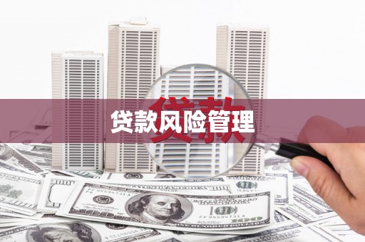 苏家屯贷款风险管理