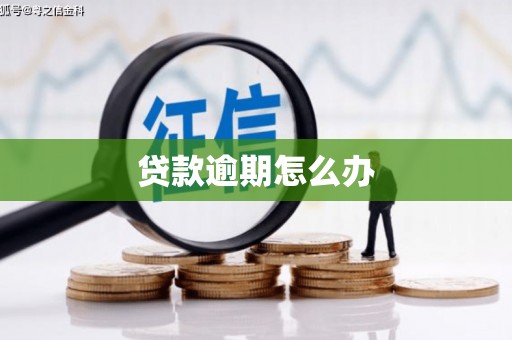 苏家屯贷款逾期怎么办