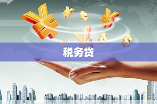 苏家屯税务贷