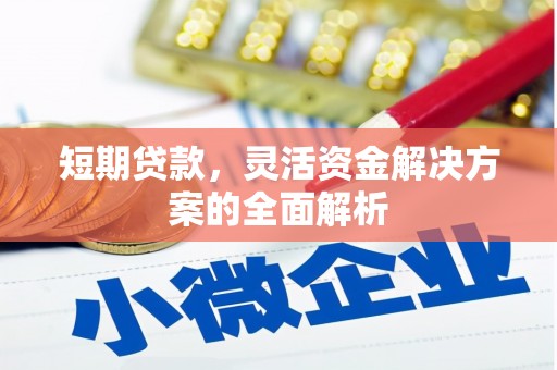 苏家屯短期贷款，灵活资金解决方案的全面解析