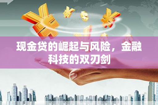 苏家屯现金贷的崛起与风险，金融科技的双刃剑