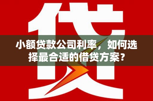 苏家屯小额贷款公司利率，如何选择最合适的借贷方案？