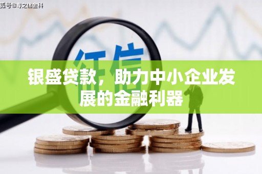 苏家屯银盛贷款，助力中小企业发展的金融利器