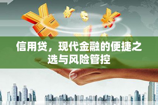 苏家屯信用贷，现代金融的便捷之选与风险管控