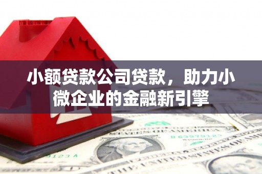 苏家屯小额贷款公司贷款，助力小微企业的金融新引擎