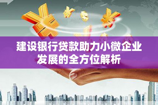 苏家屯建设银行贷款助力小微企业发展的全方位解析