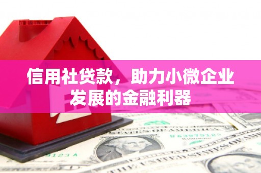 苏家屯信用社贷款，助力小微企业发展的金融利器