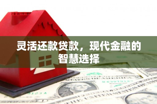 苏家屯灵活还款贷款，现代金融的智慧选择