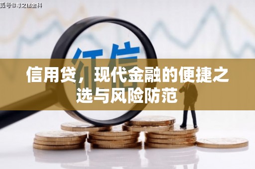 苏家屯信用贷，现代金融的便捷之选与风险防范