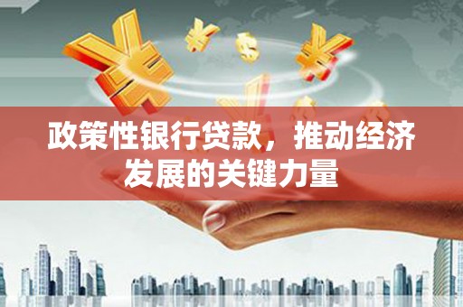 苏家屯政策性银行贷款，推动经济发展的关键力量