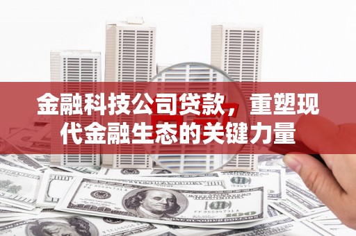 苏家屯金融科技公司贷款，重塑现代金融生态的关键力量