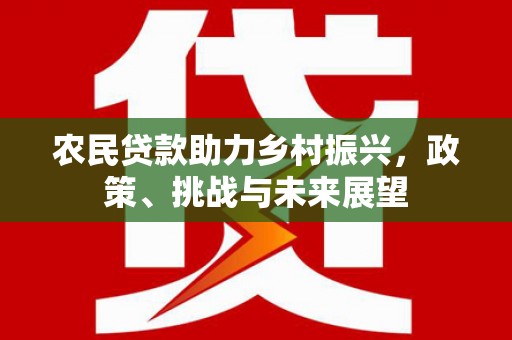 苏家屯农民贷款助力乡村振兴，政策、挑战与未来展望