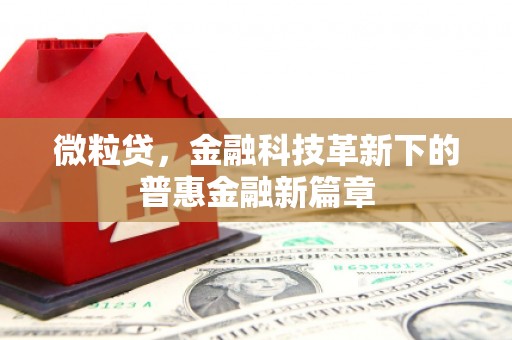 苏家屯微粒贷，金融科技革新下的普惠金融新篇章