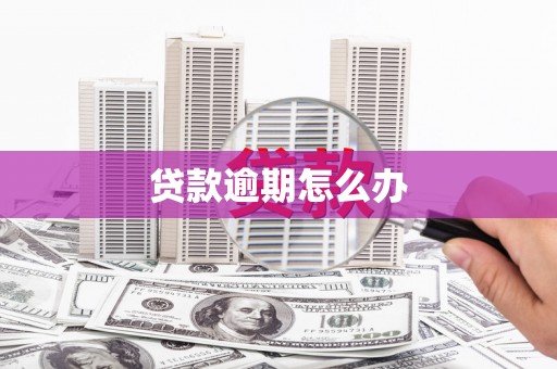 苏家屯贷款逾期怎么办