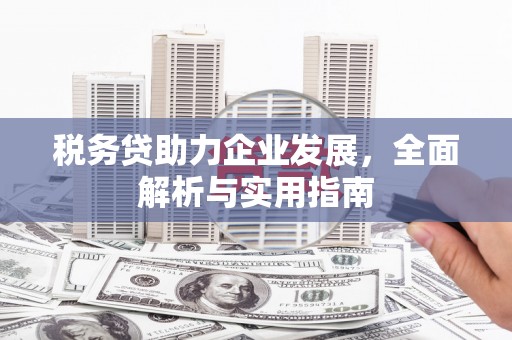 苏家屯税务贷助力企业发展，全面解析与实用指南