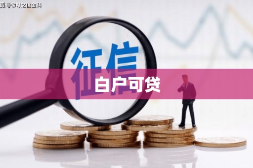 苏家屯白户可贷