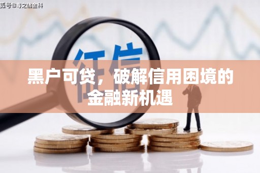苏家屯黑户可贷，破解信用困境的金融新机遇