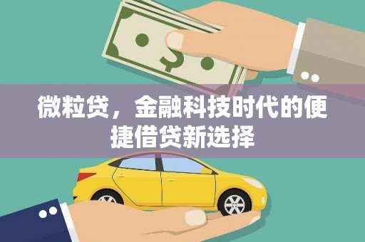 苏家屯微粒贷，金融科技时代的便捷借贷新选择