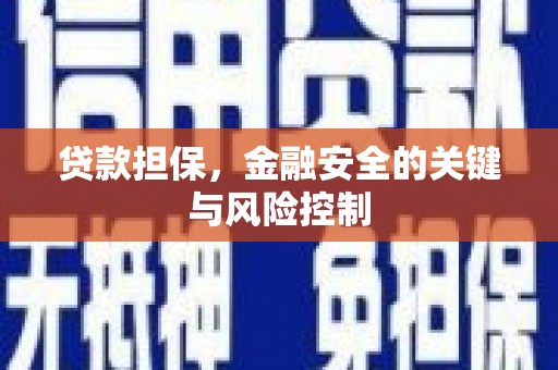 苏家屯贷款担保，金融安全的关键与风险控制