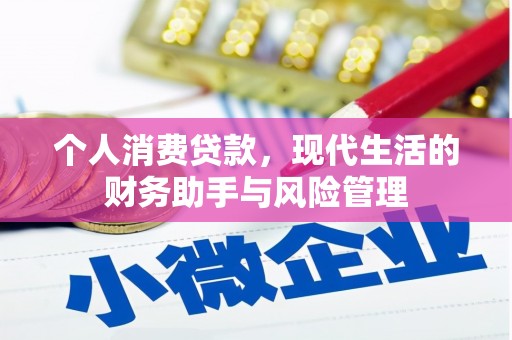 苏家屯个人消费贷款，现代生活的财务助手与风险管理