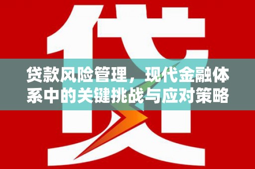 苏家屯贷款风险管理，现代金融体系中的关键挑战与应对策略