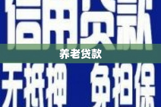 苏家屯养老贷款