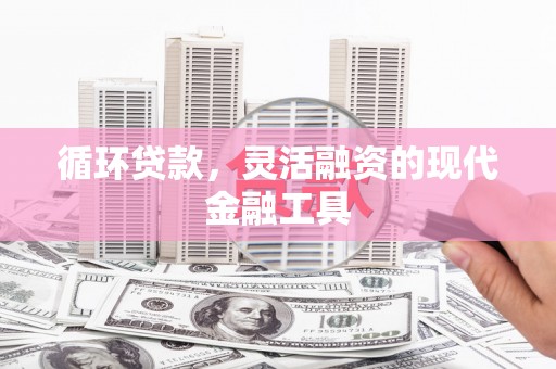 苏家屯循环贷款，灵活融资的现代金融工具