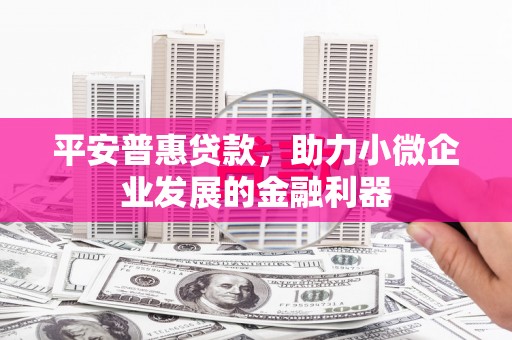 苏家屯平安普惠贷款，助力小微企业发展的金融利器