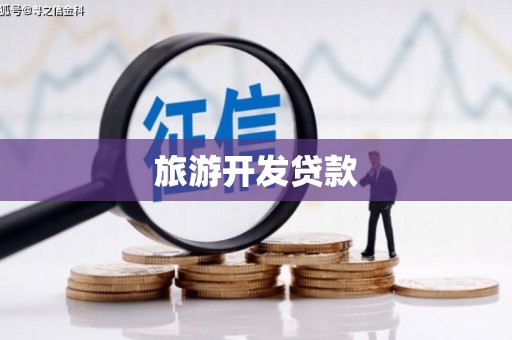 苏家屯旅游开发贷款