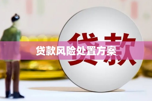 苏家屯贷款风险处置方案