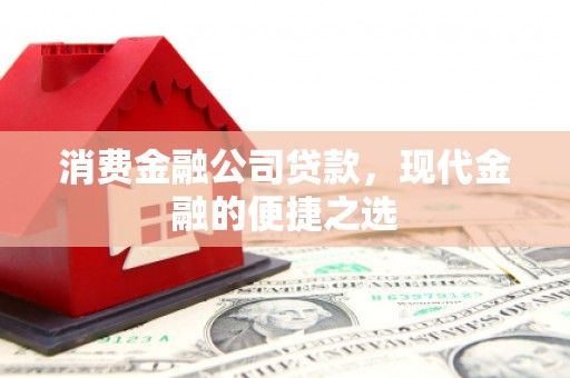 苏家屯消费金融公司贷款，现代金融的便捷之选