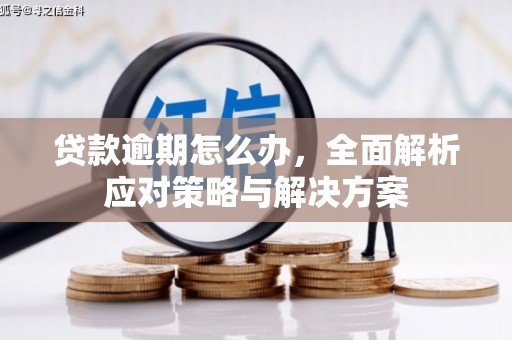 苏家屯贷款逾期怎么办，全面解析应对策略与解决方案