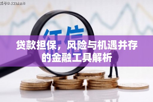 苏家屯贷款担保，风险与机遇并存的金融工具解析