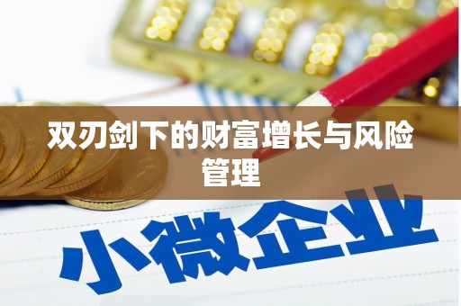 苏家屯双刃剑下的财富增长与风险管理